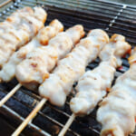 【画像】ジョッキ片手に味わう贅沢なひと時「キャンプ」で楽しむ極上の「焼き鳥」テクニックとは 〜 画像1