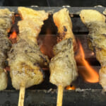 【画像】ジョッキ片手に味わう贅沢なひと時「キャンプ」で楽しむ極上の「焼き鳥」テクニックとは 〜 画像1