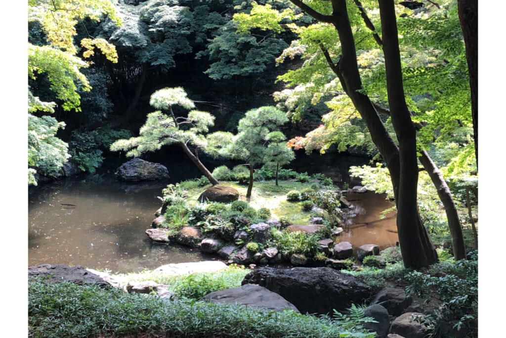 殿ヶ谷戸庭園／弁天池