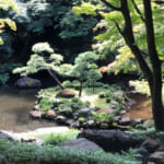 【画像】天然クーラーでクールダウン！　暑い時期に行きたい東京都の「湧水3選」 〜 画像1