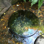 【画像】天然クーラーでクールダウン！　暑い時期に行きたい東京都の「湧水3選」 〜 画像1