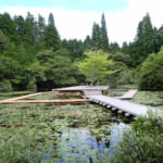 【画像】海を見下ろす絶景と山上の森の緑と不思議に調和する現代アートの作品群！　神戸六甲ミーツ・アート2025開幕 〜 画像1