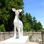 【画像】海を見下ろす絶景と山上の森の緑と不思議に調和する現代アートの作品群！　神戸六甲ミーツ・アート2025開幕 〜 画像1