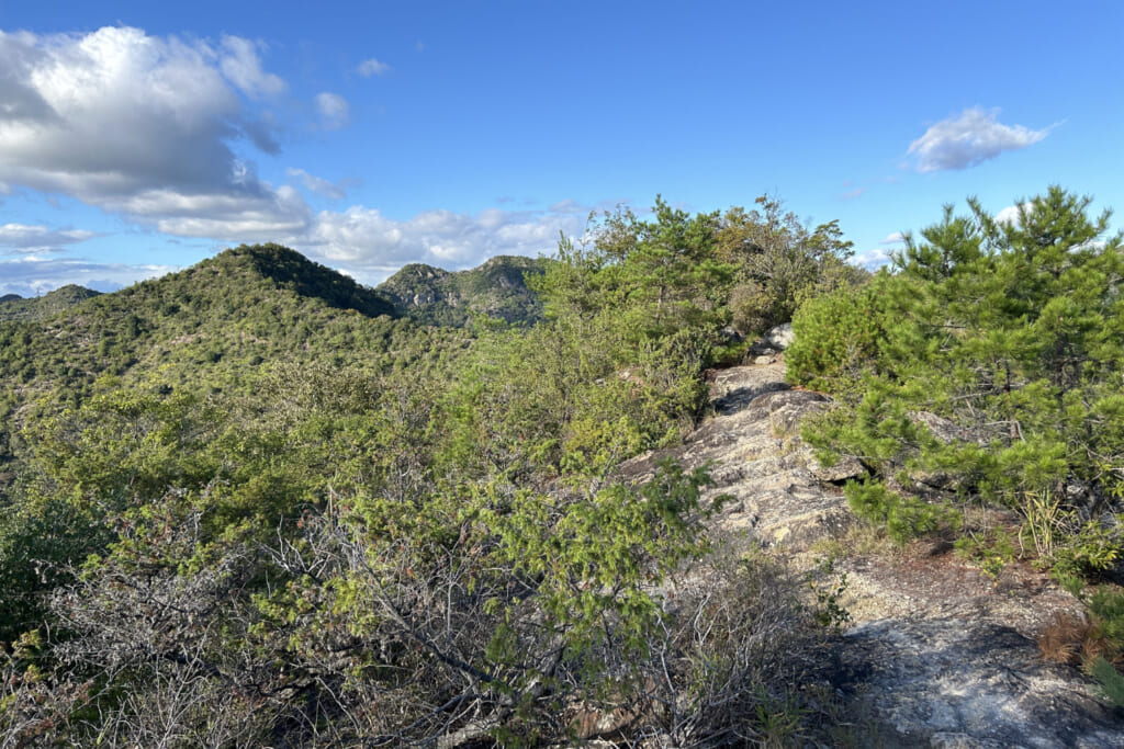 秋山