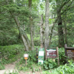【画像】憧れの「岩の殿堂」穂高連峰へ！　涼しさ満点の山岳リゾート「上高地」から標高2170mの岳沢を目指す 〜 画像1