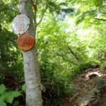 穂高連峰
