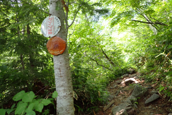 穂高連峰
