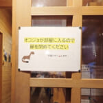 【画像】憧れの「岩の殿堂」穂高連峰へ！　激登りの重太郎新道から前穂高・吊尾根・奥穂高を踏破 〜 画像1