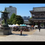 【画像】キャンピングカーで家族旅行！　名古屋アンティークマーケットと恐竜王国で最高の時間を堪能 〜 画像1