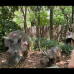 【画像】キャンピングカーで家族旅行！　名古屋アンティークマーケットと恐竜王国で最高の時間を堪能 〜 画像1