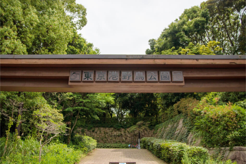「東京港野鳥公園」で野鳥観察