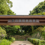 【画像】何種類くらいの野鳥を探せる？　「東京港野鳥公園」でバードウォッチング【関東エリア】 〜 画像1