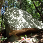【画像】別荘街のはずれで神秘的な磐座を探索！　六甲山上のパワースポットを巡る 〜 画像1