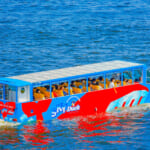【画像】非日常の体験にワクワクが止まらない！　「水陸両用バス」で巡るおすすめツアースポットの魅力とは 〜 画像1