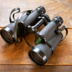 【画像】必須アイテムをチェック！　「バードウォッチング」を楽しむために気を付けるべきポイントとは 〜 画像1