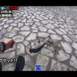 【画像】人気の釣具「アポロシリーズ」を使ってみたら…… 高級魚シマアジを狙うも季節外れの“カワハギ”ゲットにカゴ釣りの醍醐味を満喫 〜 画像1
