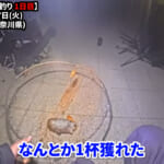 【画像】幻の仕掛けの類似アイテムを発見！　東京湾で最強の仕掛けで“特大イカ釣り”に挑戦してみた 〜 画像1