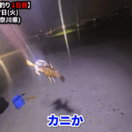 【画像】幻の仕掛けの類似アイテムを発見！　東京湾で最強の仕掛けで“特大イカ釣り”に挑戦してみた 〜 画像1
