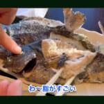 【画像】念願の釣り桟橋が復活！　能登の老舗宿「百楽荘」で楽しむ大人の趣味時間が贅沢さの極み 〜 画像1