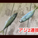 【画像】念願の釣り桟橋が復活！　能登の老舗宿「百楽荘」で楽しむ大人の趣味時間が贅沢さの極み 〜 画像1