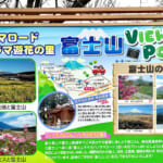 【画像】富士山のすその“パノラマ遊花の里”で「秋のコスモスまつり」開催！　見頃を迎えた可憐な秋桜を愛でる 〜 画像1