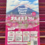 【画像】富士山のすその“パノラマ遊花の里”で「秋のコスモスまつり」開催！　見頃を迎えた可憐な秋桜を愛でる 〜 画像1