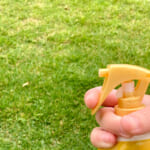 【画像】アウトドア時に注意すべき「害虫」から身を守るには？　虫除け対策から刺されたあとの対処法とは 〜 画像1
