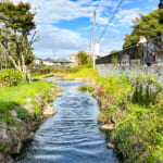 【画像】名水選抜総選挙も開催！　自然豊かな日本の「名水百選」選定の背景とその歴史とは 〜 画像1
