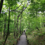【画像】自然と歴史を歩く旅！　日本全国に2万8000km以上が延びる「長距離自然歩道」の魅力とは 〜 画像1
