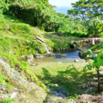 【画像】名水選抜総選挙も開催！　自然豊かな日本の「名水百選」選定の背景とその歴史とは 〜 画像1