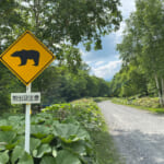 クマ注意標識
