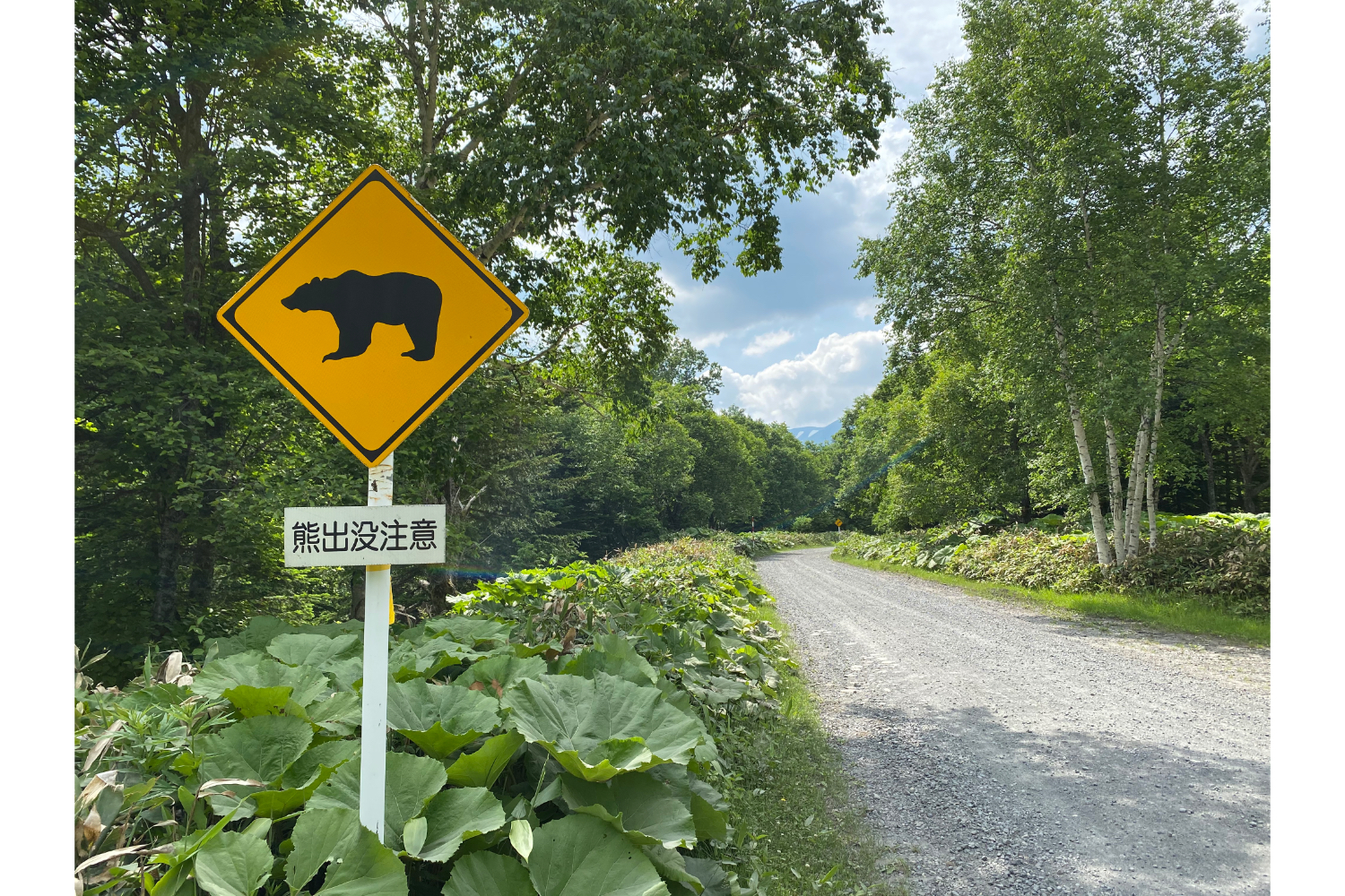 クマ注意標識