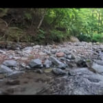 【画像】ジムニー女子がソロキャンレポート! 清流と焚き火に癒やされる「道志の森キャンプ場」で豊かな大自然を満喫 〜 画像1