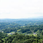 【画像】伊勢神宮や出雲大社に使われた木材も！　美しい景観に癒やされる「日本三大美林」とは 〜 画像1