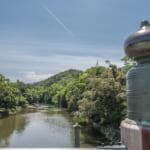 【画像】伊勢神宮や出雲大社に使われた木材も！　美しい景観に癒やされる「日本三大美林」とは 〜 画像1