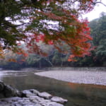 【画像】伊勢神宮や出雲大社に使われた木材も！　美しい景観に癒やされる「日本三大美林」とは 〜 画像1