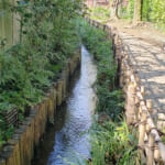 【画像】名水選抜総選挙も開催！　自然豊かな日本の「名水百選」選定の背景とその歴史とは 〜 画像1
