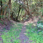 【画像】フィールドにはいつもクマがいる！　誤って遭遇しないための予備知識とその対策方法とは 〜 画像1