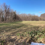 【画像】もし最終的にクマに襲われたらどうする？　そのとき身を守るためにできる事とは 〜 画像1