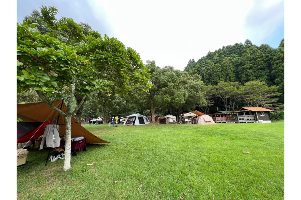 キャンプ場