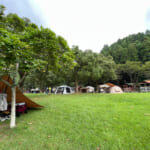 【画像】フィールドにはいつもクマがいる！　誤って遭遇しないための予備知識とその対策方法とは 〜 画像1