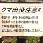 【画像】山中でもしもクマに出遭ってしまったら？　そのときの心構えだけはしっかりと対策すべし 〜 画像1