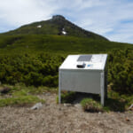 【画像】フィールドにはいつもクマがいる！　最低限は知っておきたいクマの基礎知識とは 〜 画像1