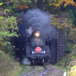 【画像】ひと味違う旅を楽しみたいなら…… 日本各地の魅力を乗せた「観光列車」がおすすめ 〜 画像1