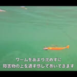 【画像】根気と観察力で高級魚ゲット！　爆釣ならずもタメになる釣り動画に視聴者からも“タメになった”とコメント沢山 〜 画像1