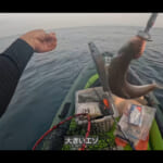 【画像】夢の軽トラカスタムが始動！　車中泊と釣行に挑む自由すぎる“たつお流DIYとソウダカツオ釣りと今後のカスタムも期待が膨らむ 〜 画像1