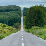 【画像】砂浜をクルマで走行！　運転がより楽しめる自然を満喫できるおすすめの「観光ドライブルート」3選 〜 画像1