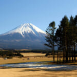 【画像】木と触れ合う新しいアウトドア体験! ロープを使った木登り技術「ツリーイング」の魅力とは 〜 画像1