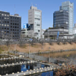 【画像】室内型や海上釣り堀、東京都心にも……　釣り初心者におすすめの「釣り堀」の魅力とは 〜 画像1