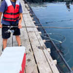 【画像】室内型や海上釣り堀、東京都心にも……　釣り初心者におすすめの「釣り堀」の魅力とは 〜 画像1